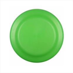 Neon Green